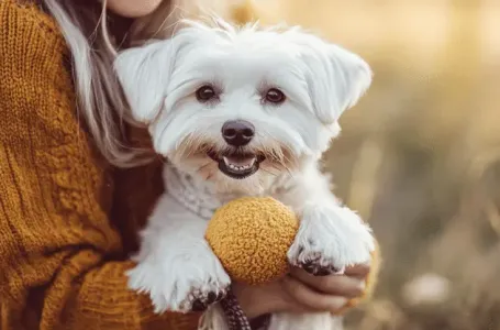 „Nećete verovati koja rasa pasa je dokazano NAJLOJALNIJA!“