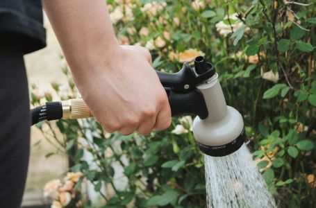 Da li baštu treba zalijevati ujutru ili uveče? Samo jedno je ispravno, a mnogi griješe