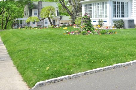 Uništava vam travnjak, a možda ni ne znate da je tu: Ovo je tihi ubica vašeg vrta