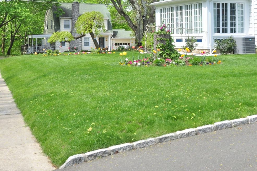 Uništava vam travnjak, a možda ni ne znate da je tu: Ovo je tihi ubica vašeg vrta