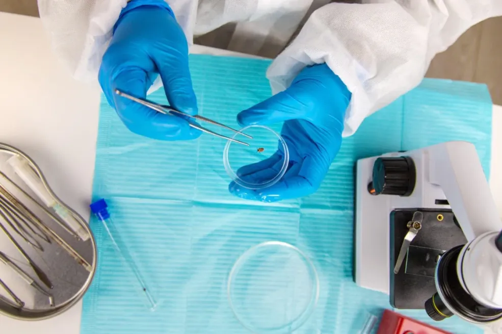 Zašto "mikrobi iz ogledala" brinu naučnike - nauka koja može uništiti svijet