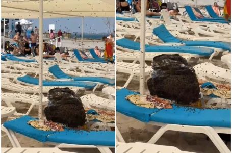Porodica ponijela ručak na plažu, otišla da se okupa, a kad su se vratili sačekala ih je noćna mora