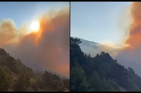 Veliki požar kod Makarske: Traju evakuacije, širi se prema kućama