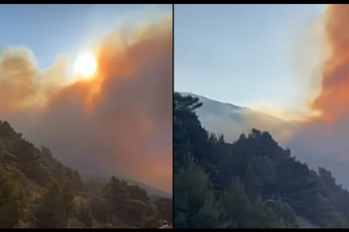 Veliki požar kod Makarske: Traju evakuacije, širi se prema kućama