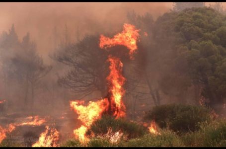 DRAMATIČNO U HRVATSKOJ, POŽAR GUTA SVE: "Bit će dobro ako ne bude mrtvih!"