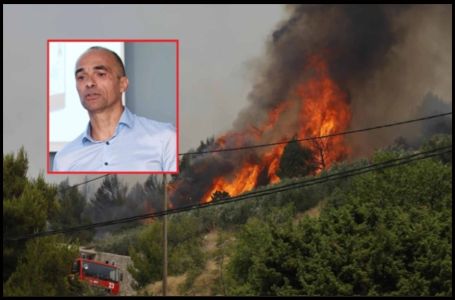 VATRA PROGUTALA VELIKU KOMPANIJU: Izgorjela jedna od najvećih uljara u Hrvatskoj