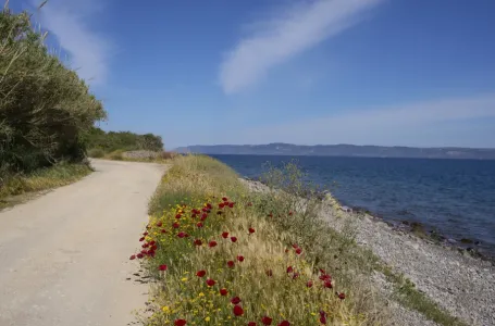 Već hiljade migranata na malom grčkom ostrvu: Suočenje sa krizom