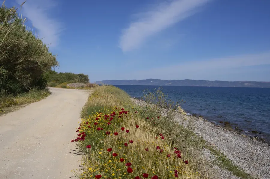 Već hiljade migranata na malom grčkom ostrvu: Suočenje sa krizom