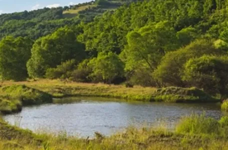 Pronađeno telo muškarca u jezeru Tikvara kod Bačke Palanke