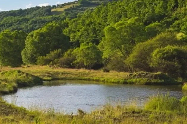 Pronađeno telo muškarca u jezeru Tikvara kod Bačke Palanke