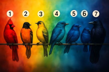 Test: Odaberite pticu i saznajte šta vam najviše nedostaje u životu!