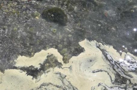 More u Hrvatskoj žuto: Naučnici objasnili fenomen