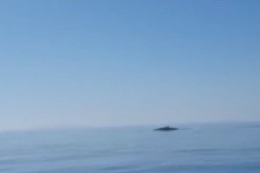 Nestvaran prizor na Jadranu: Dronom snimili kita, sad uživa kod Bara, obavezno pojačajte zvuk