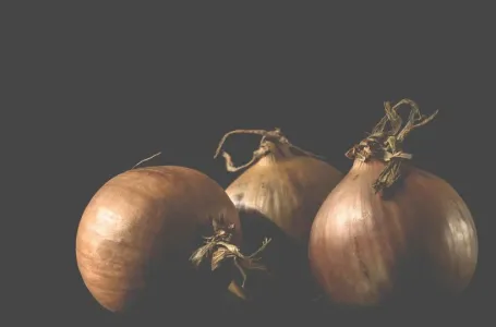Mnogi čuvaju luk na pogrešnom mjestu: Stručnjaci otkrivaju gdje je najbolje