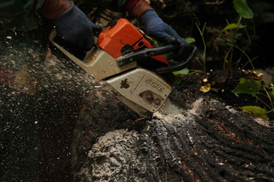 TRAGEDIJA U BiH: Muškarac poginuo tokom sječe šume