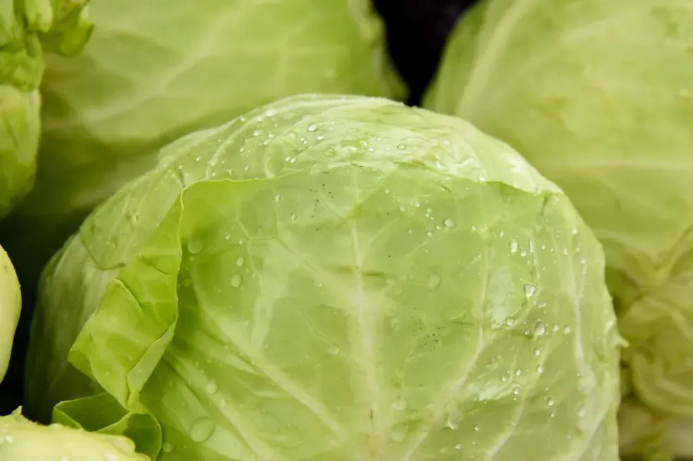 Kupus koji će svi obožavati: Recept s dva sastojka koja dosad niste koristili