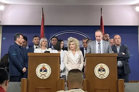 Opozicija tvrdi da je prekršen Poslovnik o radu. Stevandić: Vukanović fizički nasrnuo na mene