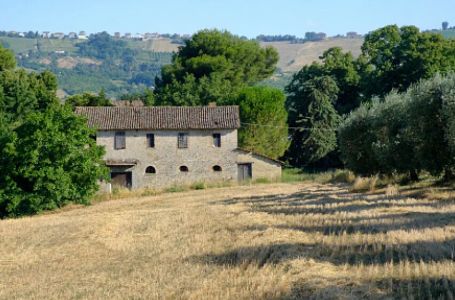 U šumi pronađeni dječaci za koje niko nije znao: Nemaju dokumente, a tamo ih je odveo otac...