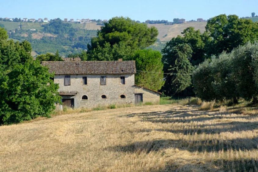 U šumi pronađeni dječaci za koje niko nije znao: Nemaju dokumente, a tamo ih je odveo otac...