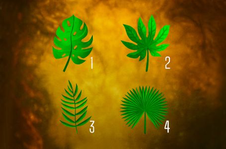 TEST! ODABERITE NAJLJEPŠI LIST: Otkrijte kakva je vaša duša! KOJI BROJ STE IZABRALI?