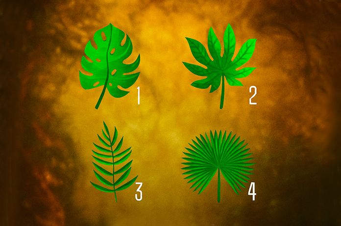 TEST! ODABERITE NAJLJEPŠI LIST: Otkrijte kakva je vaša duša! KOJI BROJ STE IZABRALI?