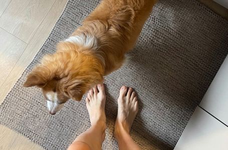 Znate li zašto vam pas liže stopala? Evo šta kaže stručnjak