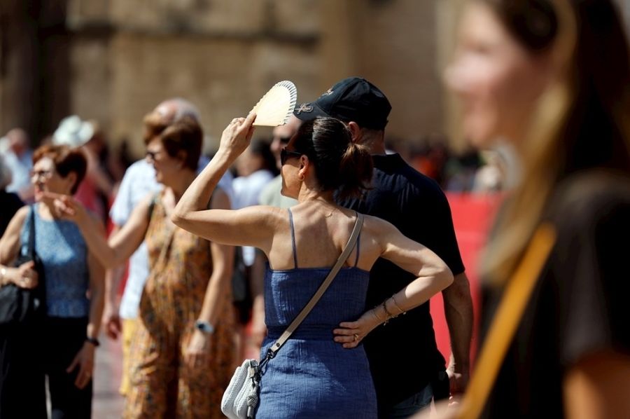 METEOROLOZI ZA VIKEND NAJAVLJUJU 40 STEPENI U HLADU: Poljoprivrednici na mukama