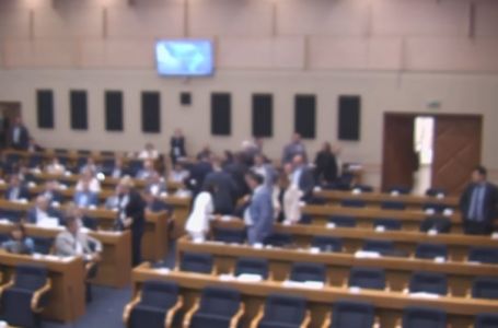 Ponovo haos u Narodnoj skupštini RS: "KO SI TI OVDJE BOLAN, DA ME IZBACUJEŠ?"