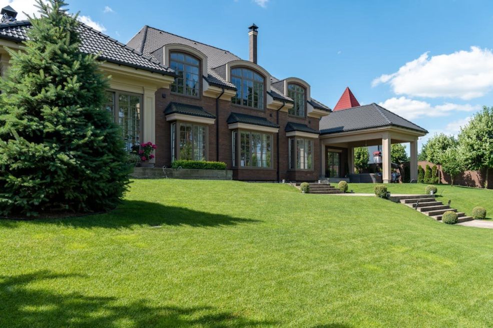 Travnjak vam se suši? Uz pomoć 1 namirnice iz kuhinje biće zdrav i savršeno zelen