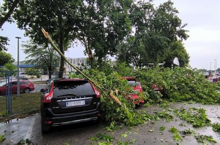 Jaka oluja poharala Zagreb: Vjetar čupao stabla iz korijena, više pijavica uz obalu Istre (VIDEO)