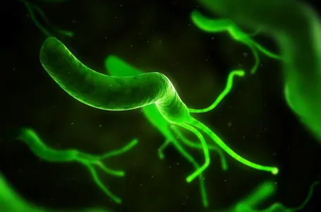 Milioni ljudi, rođenih između 2008. i 2017. godine, mogli bi umrijeti zbog uobičajene bakterije