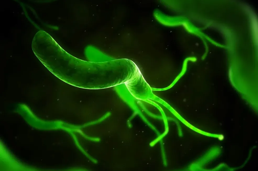 Milioni ljudi, rođenih između 2008. i 2017. godine, mogli bi umrijeti zbog uobičajene bakterije