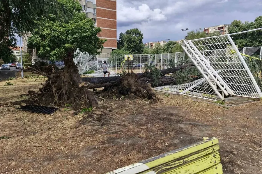Pet osoba povrijeđeno u Beogradu tokom snažnog nevremena