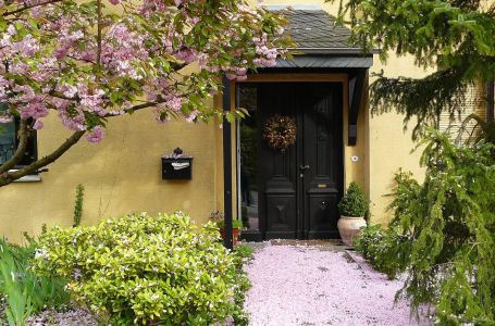 Samo postavite 1 biljku pored ulaznih vrata, vjeruje se da će sreća, mir, bogatstvo ispuniti vaš dom