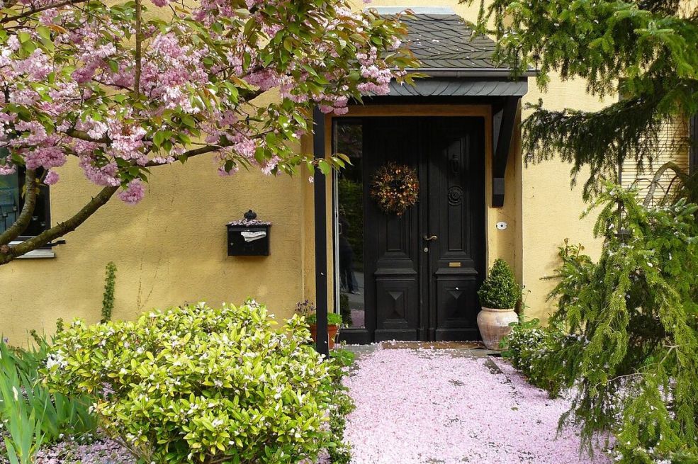 Samo postavite 1 biljku pored ulaznih vrata, vjeruje se da će sreća, mir, bogatstvo ispuniti vaš dom