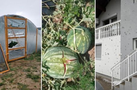 TUGA: Plastenici probijeni, lubenice razbijene, led satrao usjeve, poljoprivrednici u očaju