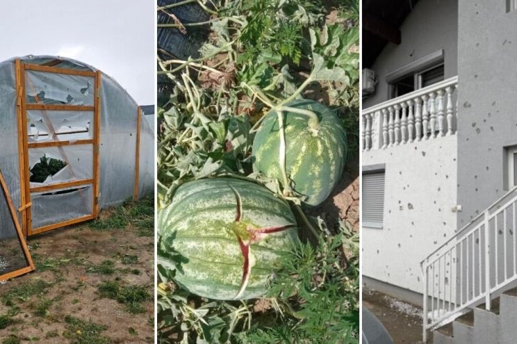 TUGA: Plastenici probijeni, lubenice razbijene, led satrao usjeve, poljoprivrednici u očaju