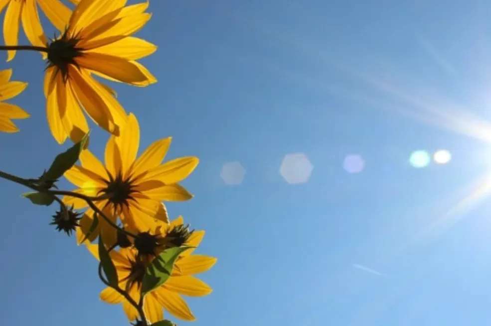 Šta nas očekuje narednih dana? Poznati meteorolog otkrio kada se vraćaju vrućine
