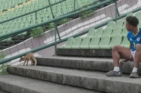 IShowSpeed ganjao lisicu na stadionu Koševo