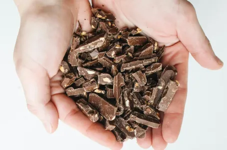 Jedini slatkiš koji doktori preporučuju, a svi ga izbjegavaju