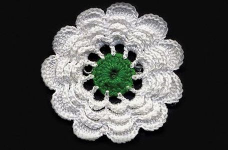 Mnogi građani danas nose Cvijet Srebrenice: Znate li šta tačno simbolizuje?