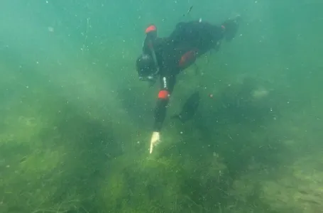 VELIKA OPASNOST NA JADRANU! Turisti ne znaju da li smiju da se kupaju, stiglo alarmantno upozorenje