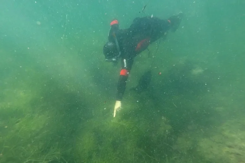 VELIKA OPASNOST NA JADRANU! Turisti ne znaju da li smiju da se kupaju, stiglo alarmantno upozorenje