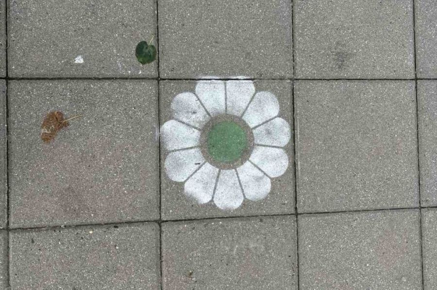 OTVORENO PISMO GENERACIJI IZ SRBIJE: "Svakog 11. jula govorit ću istinu"