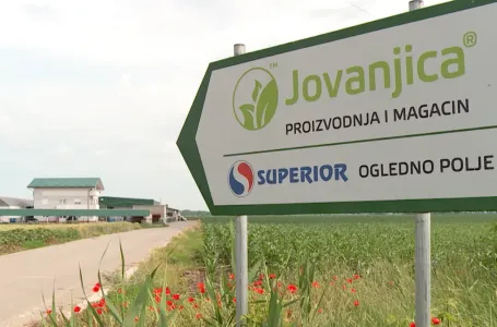 Od plantaže do stečaja: Šta se dešava sa Jovanjicom?