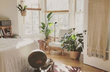 Mnogi je drže u dvorištu, a ne znaju da donosi nesreću i bolest: Ovu biljku nikada ne sadite blizu