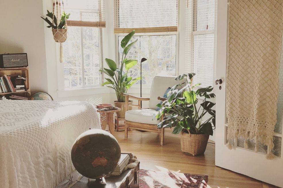 Mnogi je drže u dvorištu, a ne znaju da donosi nesreću i bolest: Ovu biljku nikada ne sadite blizu