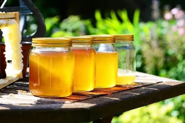 Pčelar upozorava: Sve što pčele proizvedu je lijek, ali patvoreni med je opasan