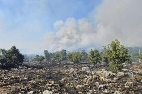 Veliki požar kod Stoca: Zahvaćen minski sumnjiv teren, čule se i eksplozije