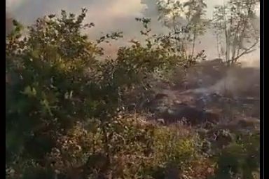 BORBA S VATRENOM STIHIJOM: Ponovo požari kod Stoca i Mostara, mještani učestvuju u gašenju vatre